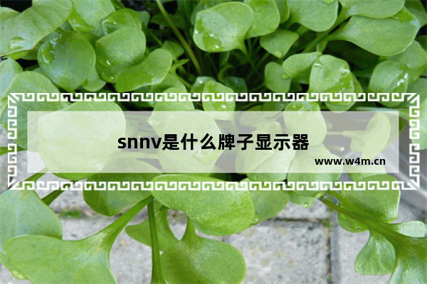 snnv是什么牌子显示器