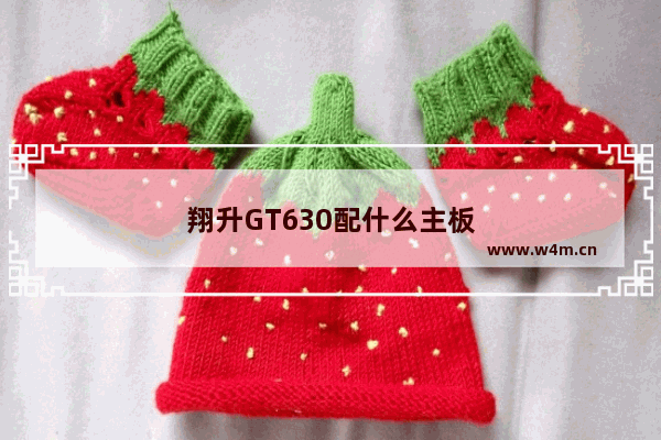 翔升GT630配什么主板