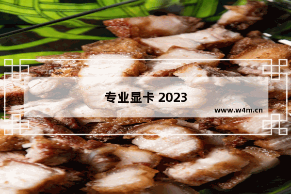 专业显卡 2023