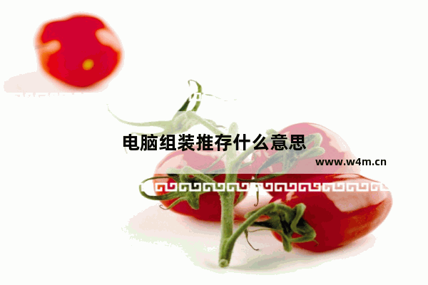 电脑组装推存什么意思