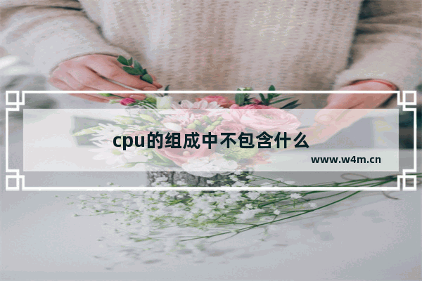 cpu的组成中不包含什么