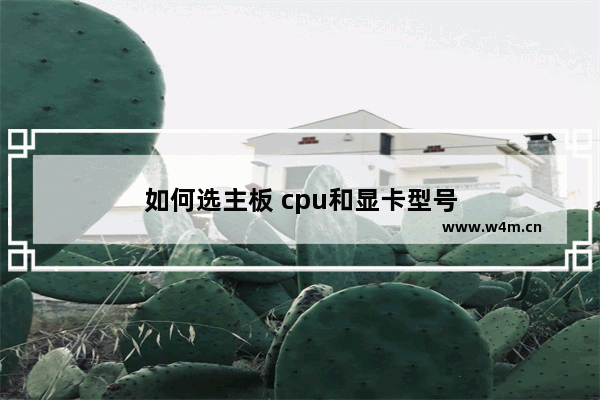 如何选主板 cpu和显卡型号