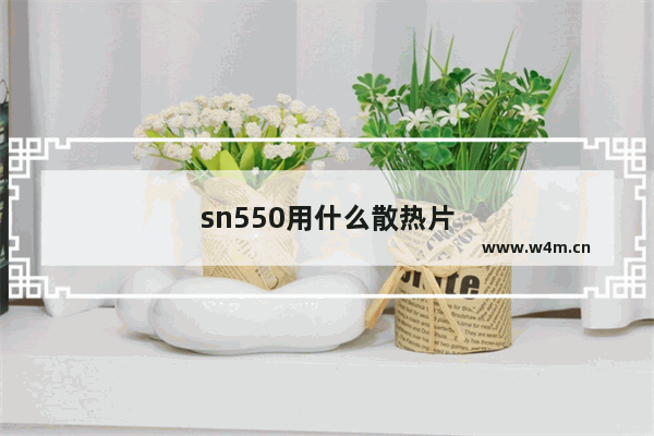 sn550用什么散热片