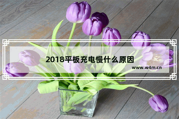 2018平板充电慢什么原因