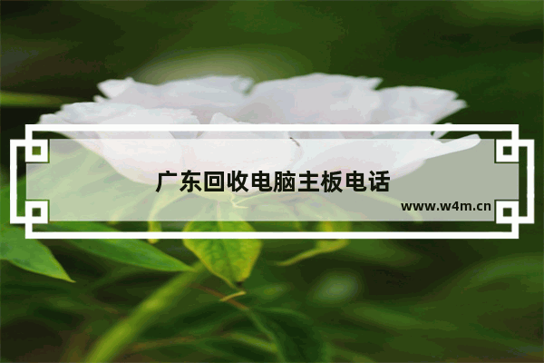 广东回收电脑主板电话