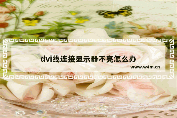 dvi线连接显示器不亮怎么办