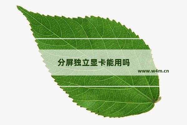 分屏独立显卡能用吗