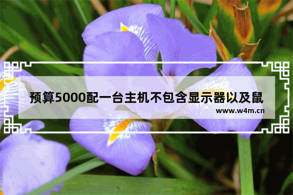 预算5000配一台主机不包含显示器以及鼠标键盘 要求能高特效玩儿大型3A游戏。求推荐