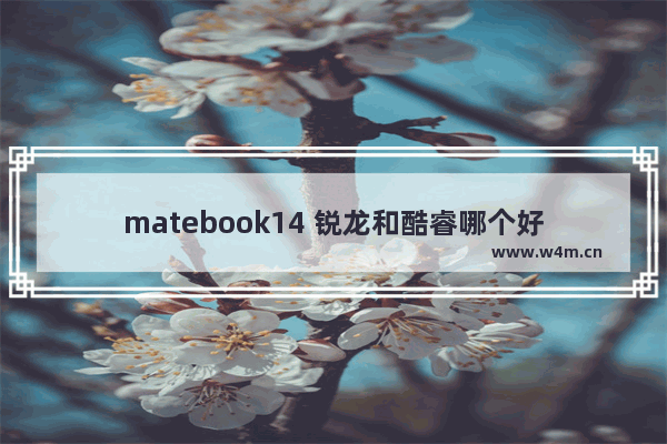 matebook14 锐龙和酷睿哪个好