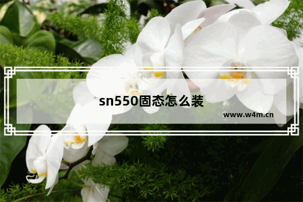 sn550固态怎么装