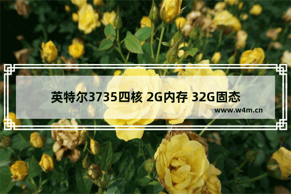 英特尔3735四核 2G内存 32G固态硬盘 256集显 这配置咋样