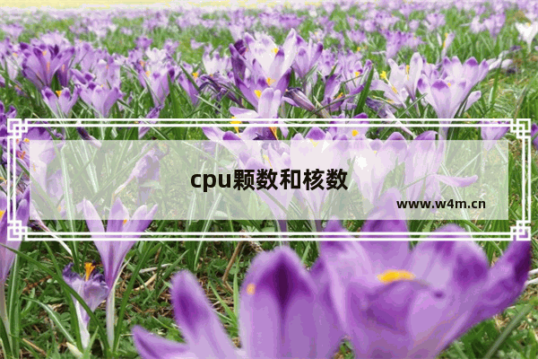 cpu颗数和核数