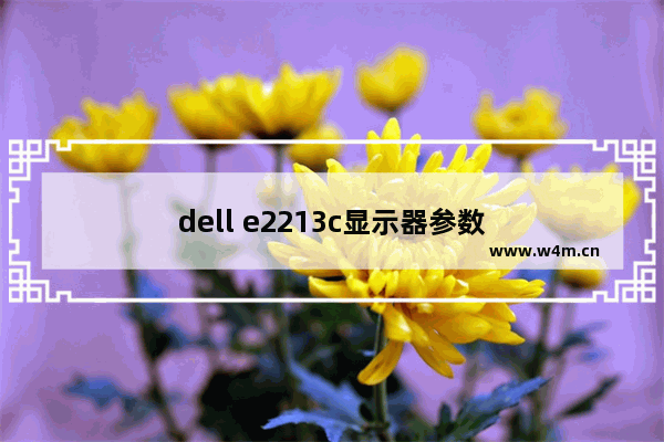 dell e2213c显示器参数