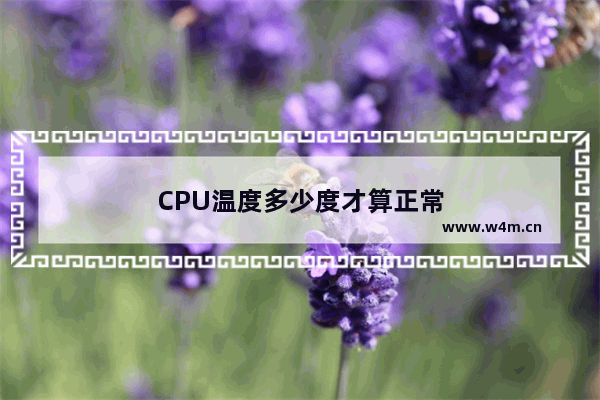 CPU温度多少度才算正常