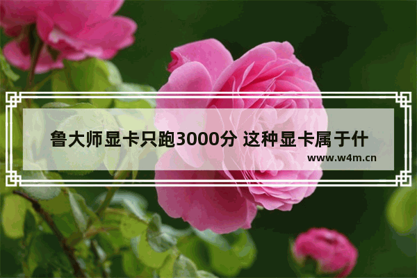 鲁大师显卡只跑3000分 这种显卡属于什么卡 普通的还是高端卡