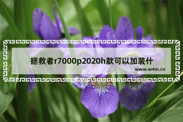 拯救者r7000p2020h款可以加装什么型号固态硬盘