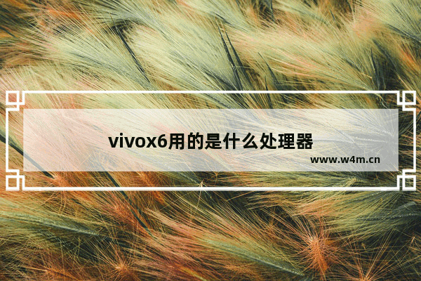 vivox6用的是什么处理器