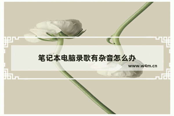 笔记本电脑录歌有杂音怎么办