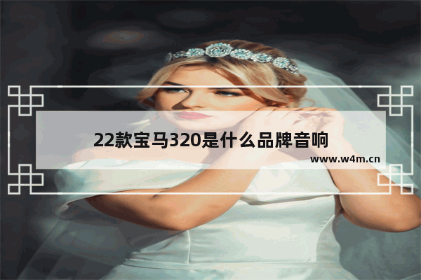 22款宝马320是什么品牌音响