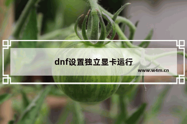 dnf设置独立显卡运行