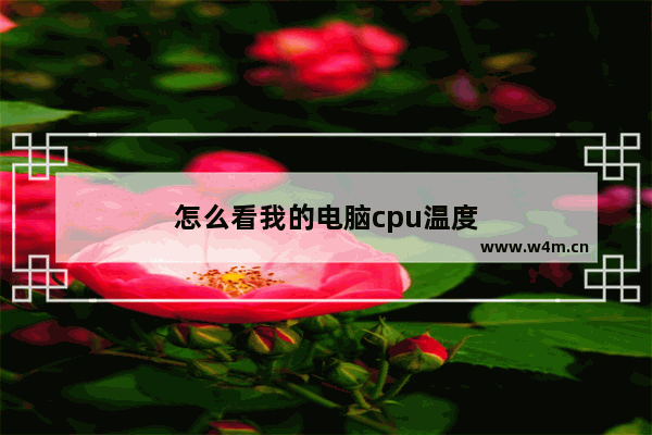 怎么看我的电脑cpu温度