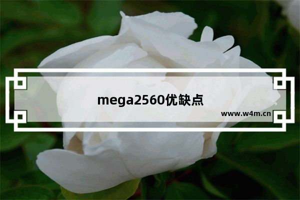 mega2560优缺点