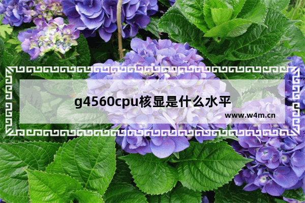 g4560cpu核显是什么水平