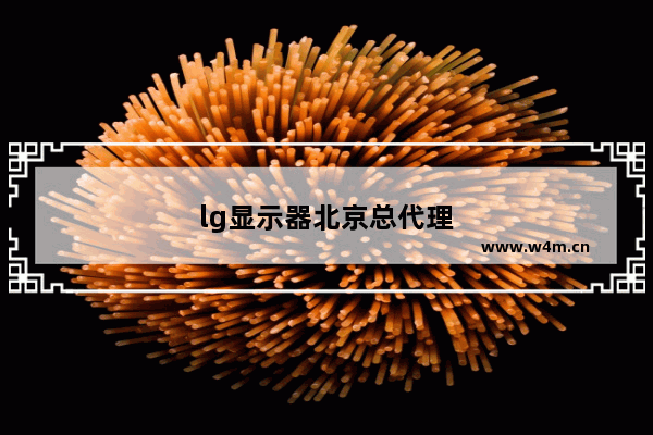 lg显示器北京总代理