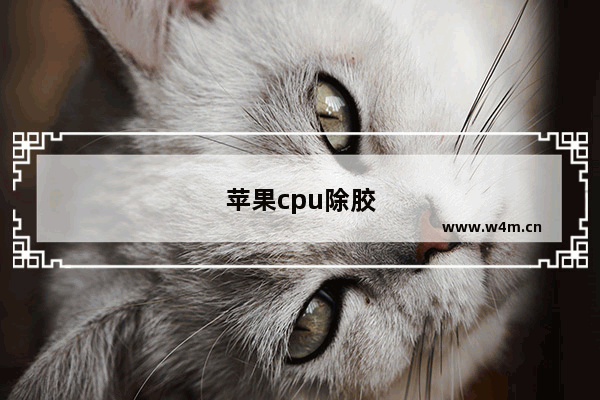 苹果cpu除胶