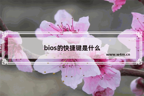 bios的快捷键是什么