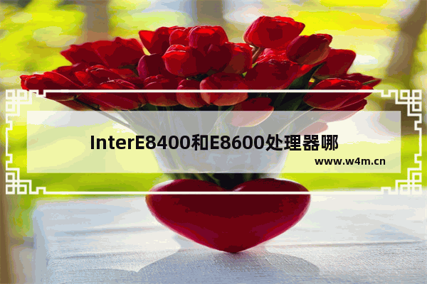 InterE8400和E8600处理器哪个好 发热量大不大