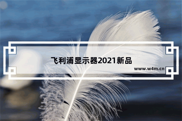 飞利浦显示器2021新品