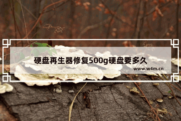 硬盘再生器修复500g硬盘要多久