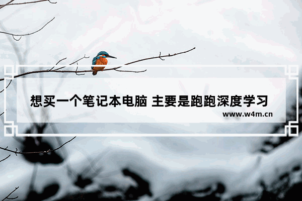 想买一个笔记本电脑 主要是跑跑深度学习 预算在10000元左右 有什么推荐