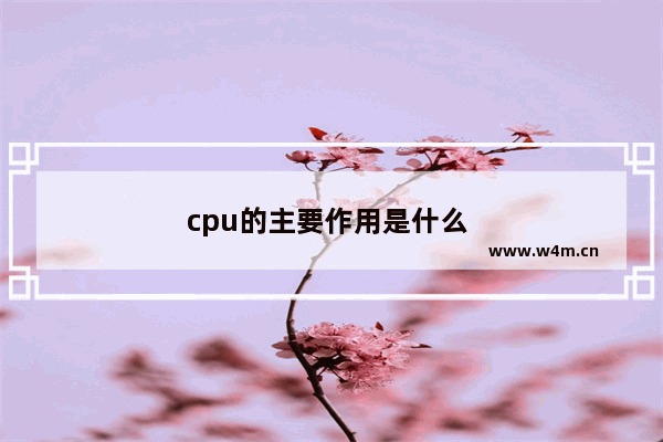 cpu的主要作用是什么 