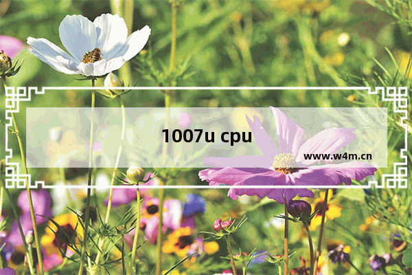 1007u cpu