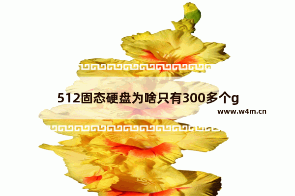 512固态硬盘为啥只有300多个g