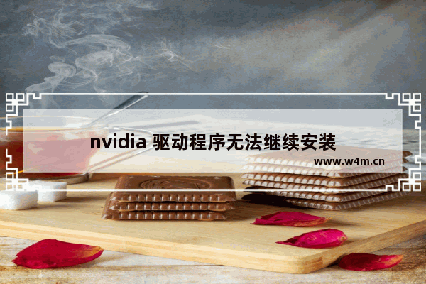 nvidia 驱动程序无法继续安装