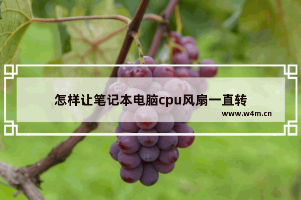 怎样让笔记本电脑cpu风扇一直转