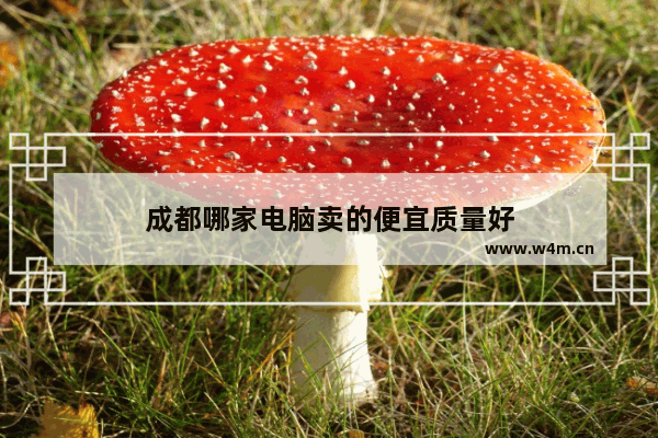 成都哪家电脑卖的便宜质量好