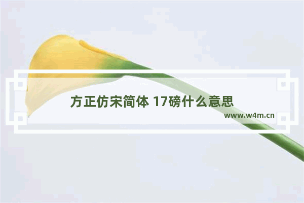 方正仿宋简体 17磅什么意思