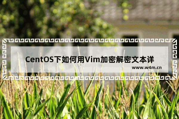 CentOS下如何用Vim加密解密文本详解