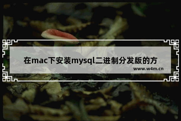 在mac下安装mysql二进制分发版的方法【不是dmg的】