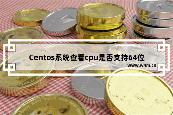 Centos系统查看cpu是否支持64位例子