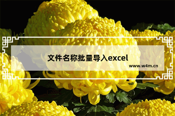 文件名称批量导入excel