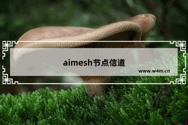 aimesh节点信道