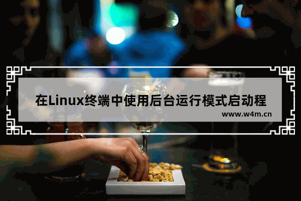 在Linux终端中使用后台运行模式启动程序的方法