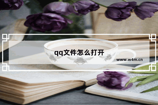 qq文件怎么打开