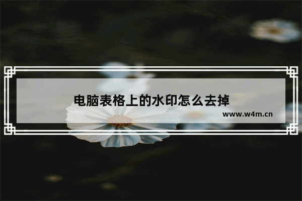 电脑表格上的水印怎么去掉