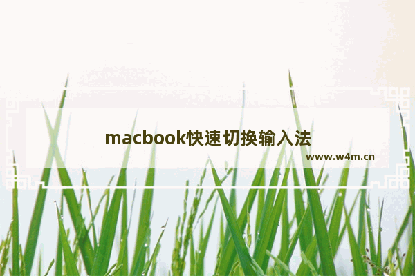 macbook快速切换输入法